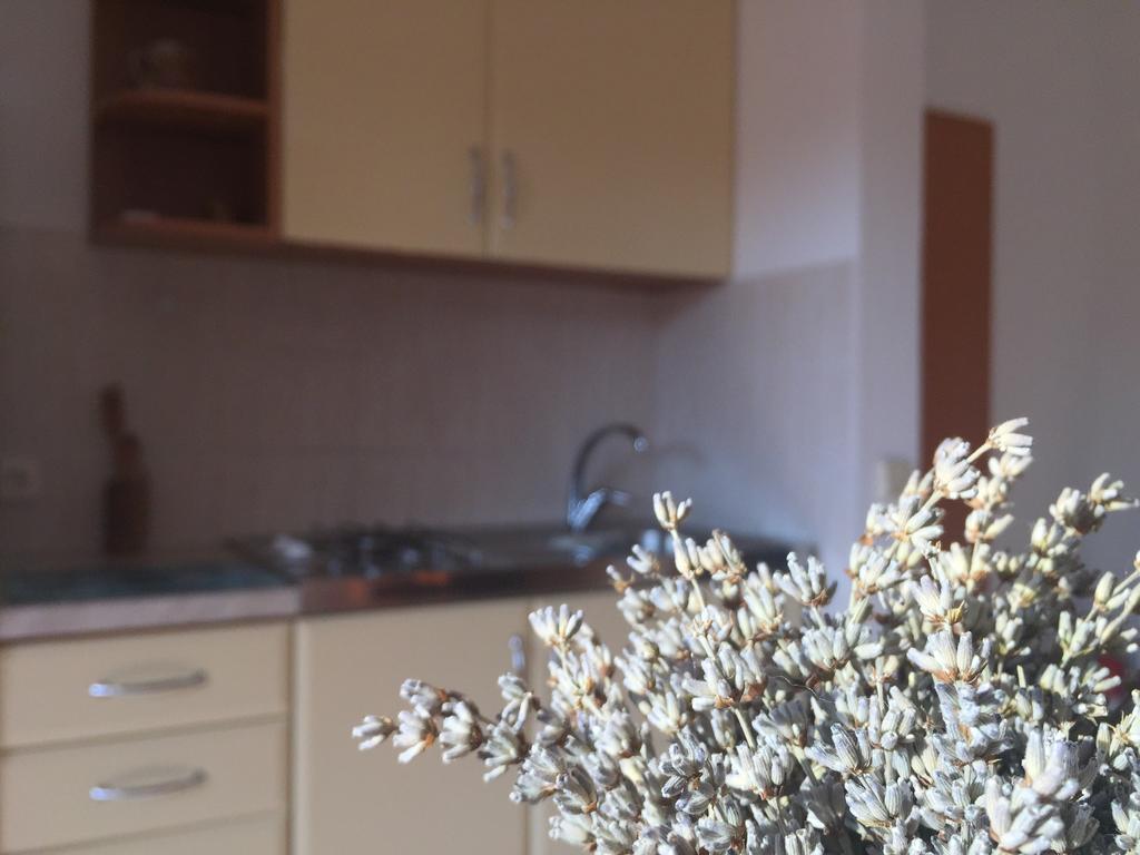 Sunny Rock Volme Apartments Banjole Zewnętrze zdjęcie